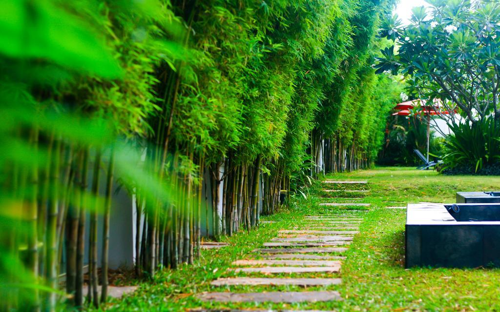 Palm Grove Resort, Pattaya Na Chom Thian Buitenkant foto